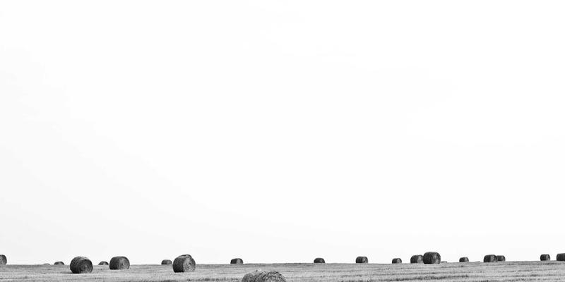 中原宴会服务新标杆：解码河南中州华酒店大型宴会厅的装饰工程与场景运营