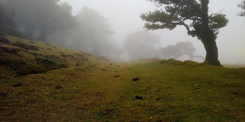 从环保建材到匠心设计：解码河南中州华酒店集团的战略发展之路