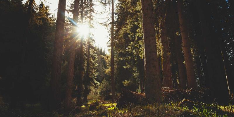 光影重塑空间：河南中州华如何以建筑装修与材料为基，用灯光设计营造酒店沉浸式情绪与品牌调性