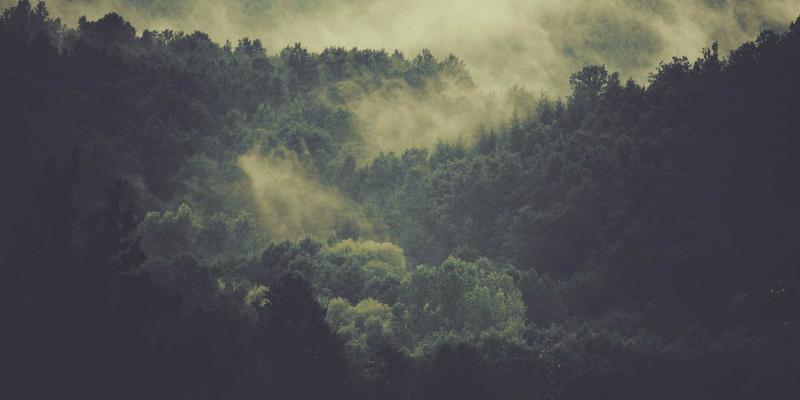 河南中州华36：装饰工程、建筑材料与工程施工的卓越实践者