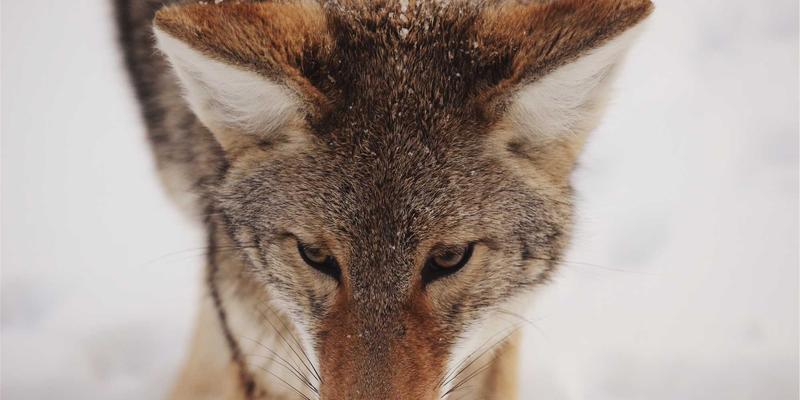 河南中州华7：以卓越建筑装修与装饰工程，定义中原建筑美学新标准