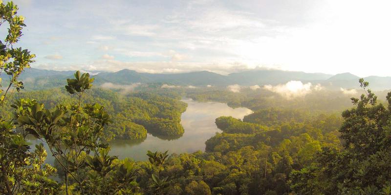 河南中州华95：卓越建筑材料与装饰工程解决方案的引领者