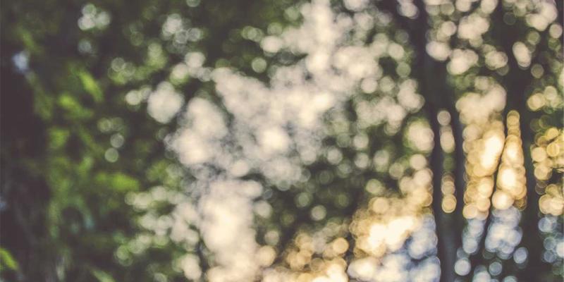 河南中州华：以匠心融合室内设计与工程施工，打造卓越空间艺术