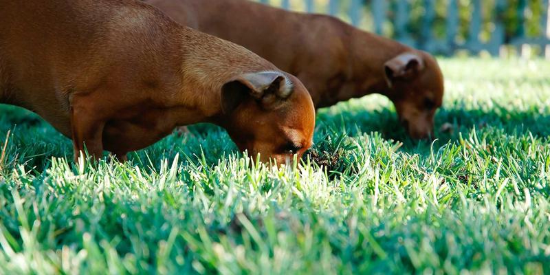 河南中州华：以环保建材引领绿色工程施工新范式