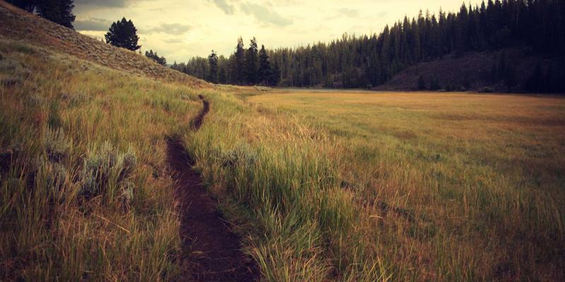 河南中州华应用：环保建材如何重塑现代室内设计与建筑装修新生态