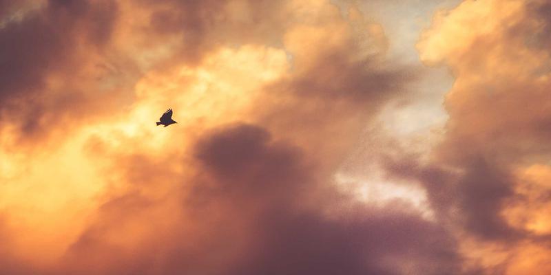 河南中州华：深耕建筑材料与装饰工程，铸就品质空间新标杆