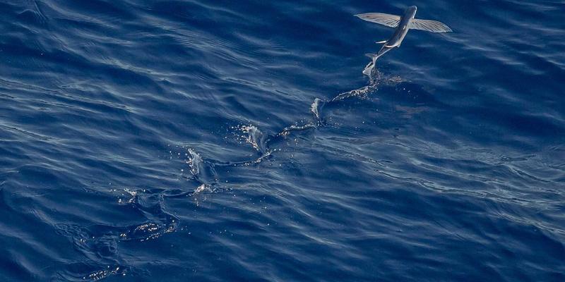 河南中州华：深耕建筑材料领域，铸就建筑装修品质之基