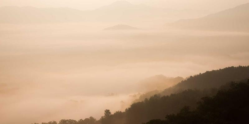 河南中州华酒店：以精细化成本控制与环保建材应用实现工程投资效益最大化