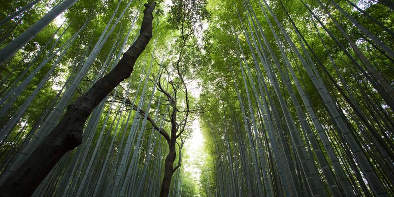 河南中州华酒店：用环保建材与匠心室内设计，打造沉浸式中原非遗主题客房