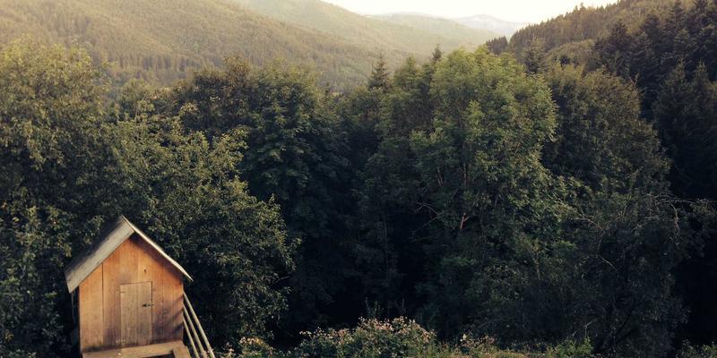 河南中州华酒店装饰工程的艺术升华：以中原艺术品打造独特空间美学的工程施工策略