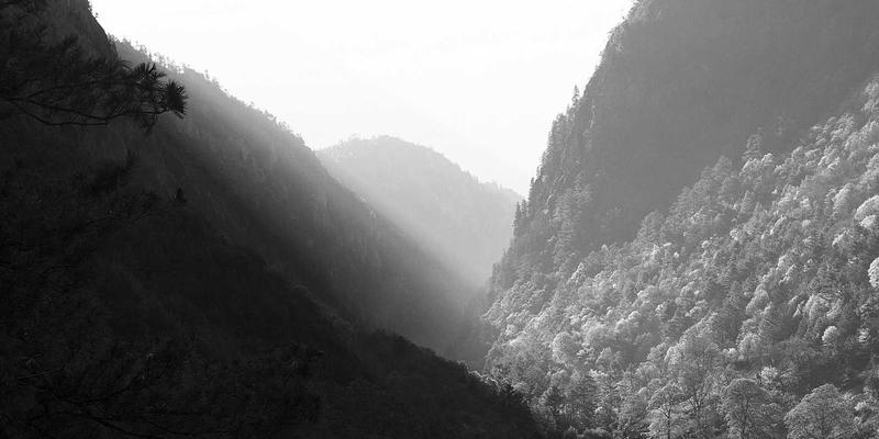 环保建材赋能酒店装饰工程：河南中州华如何以本地化战略重塑餐饮体验